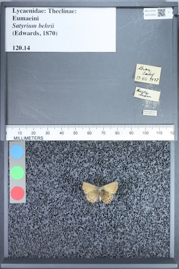 Media type: image;   Entomology 70859
